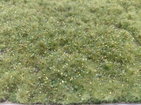 Wildwuchs hoch, Frühherbst